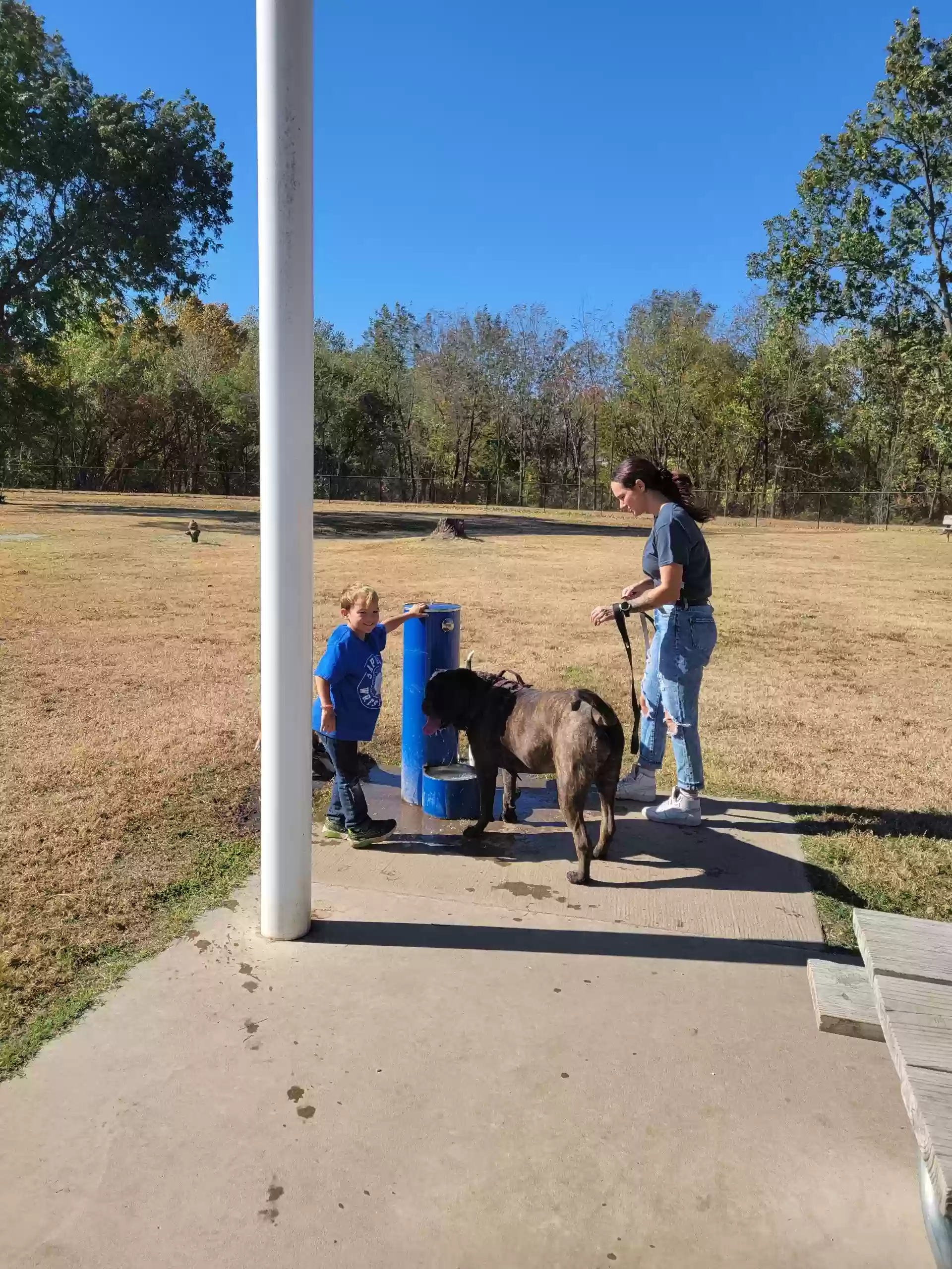 adoptable Dog in Tulsa,OK named Nala