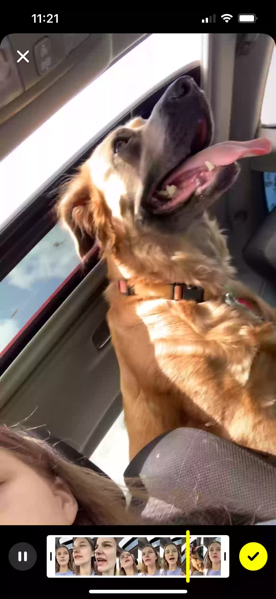 adoptable Dog in Bloomington,IN named Ella mae
