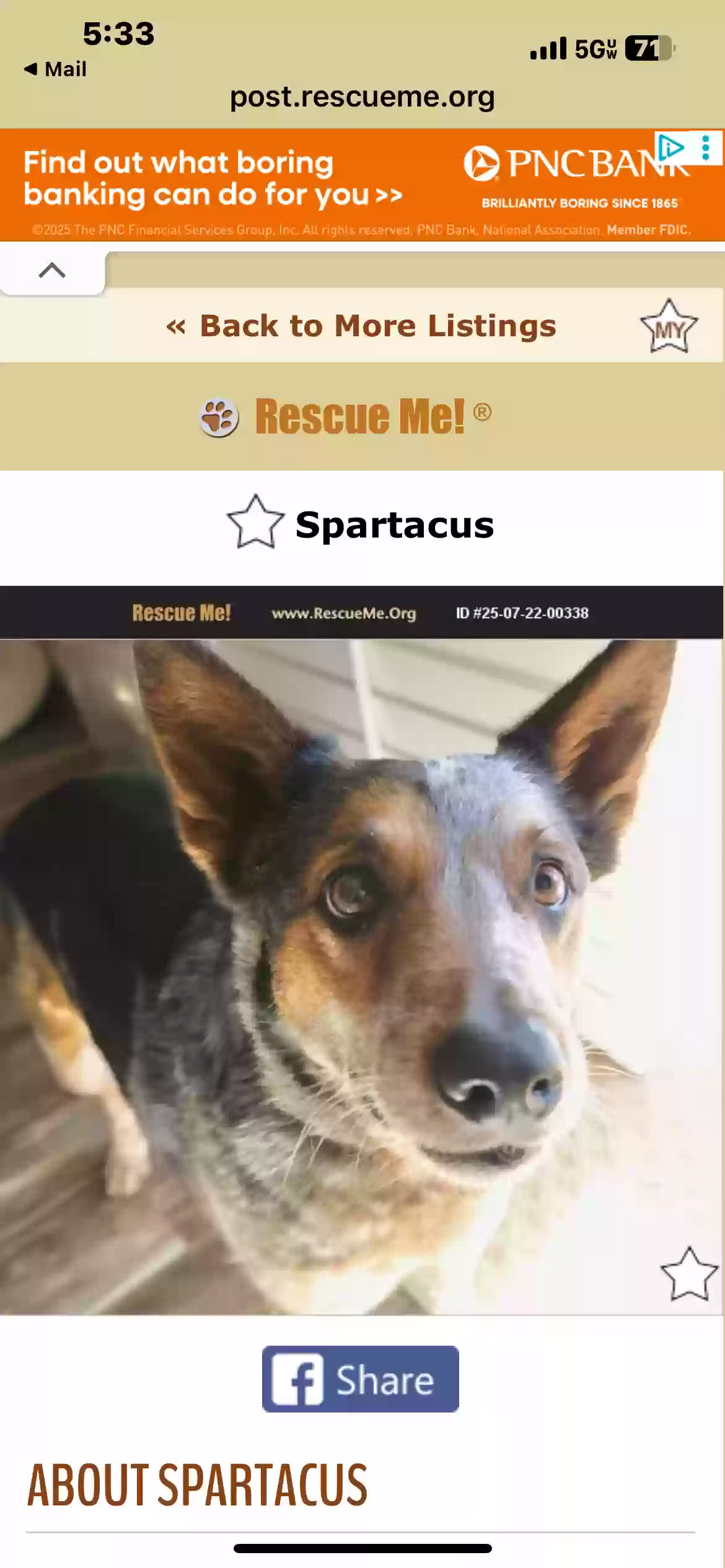 adoptable Dog in Menifee,CA named Spartacus