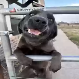 /images/pets/original/2183115_actual_two.webp