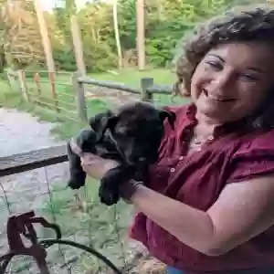 adoptable Dog in Lindale, TX named Unknown