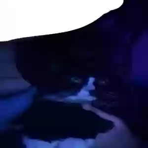/images/pets/original/2183901_26734_Snapchat-726214790.webp