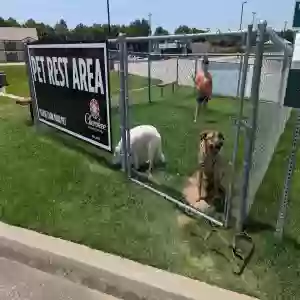 adoptable Dog in Mesa, AZ named Dimitri