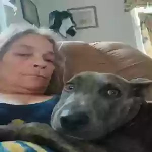adoptable Dog in Marietta, OH named Meka