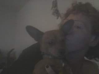 /lostandfound/images/lnfpets/original/149111_tphoto.jpg
