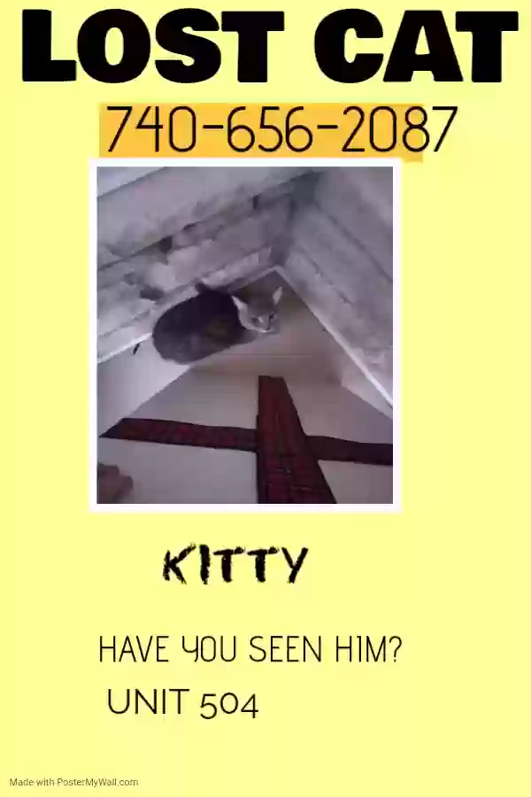 /lostandfound/images/lnfpets/original/155476_photo.webp
