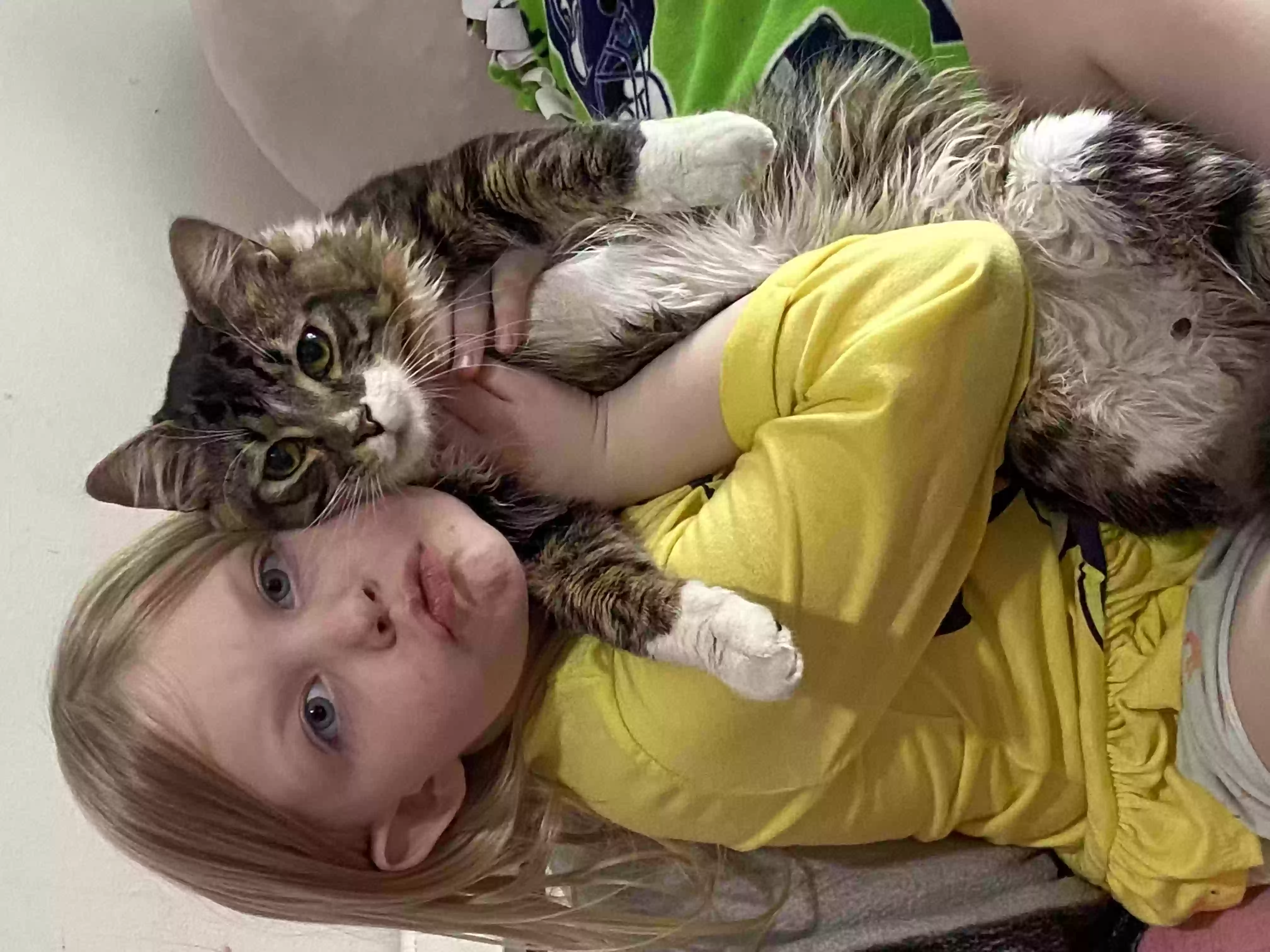 /lostandfound/images/lnfpets/original/155570_photo.webp