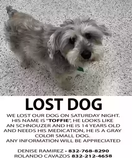 /lostandfound/images/lnfpets/original/155683_photo.webp