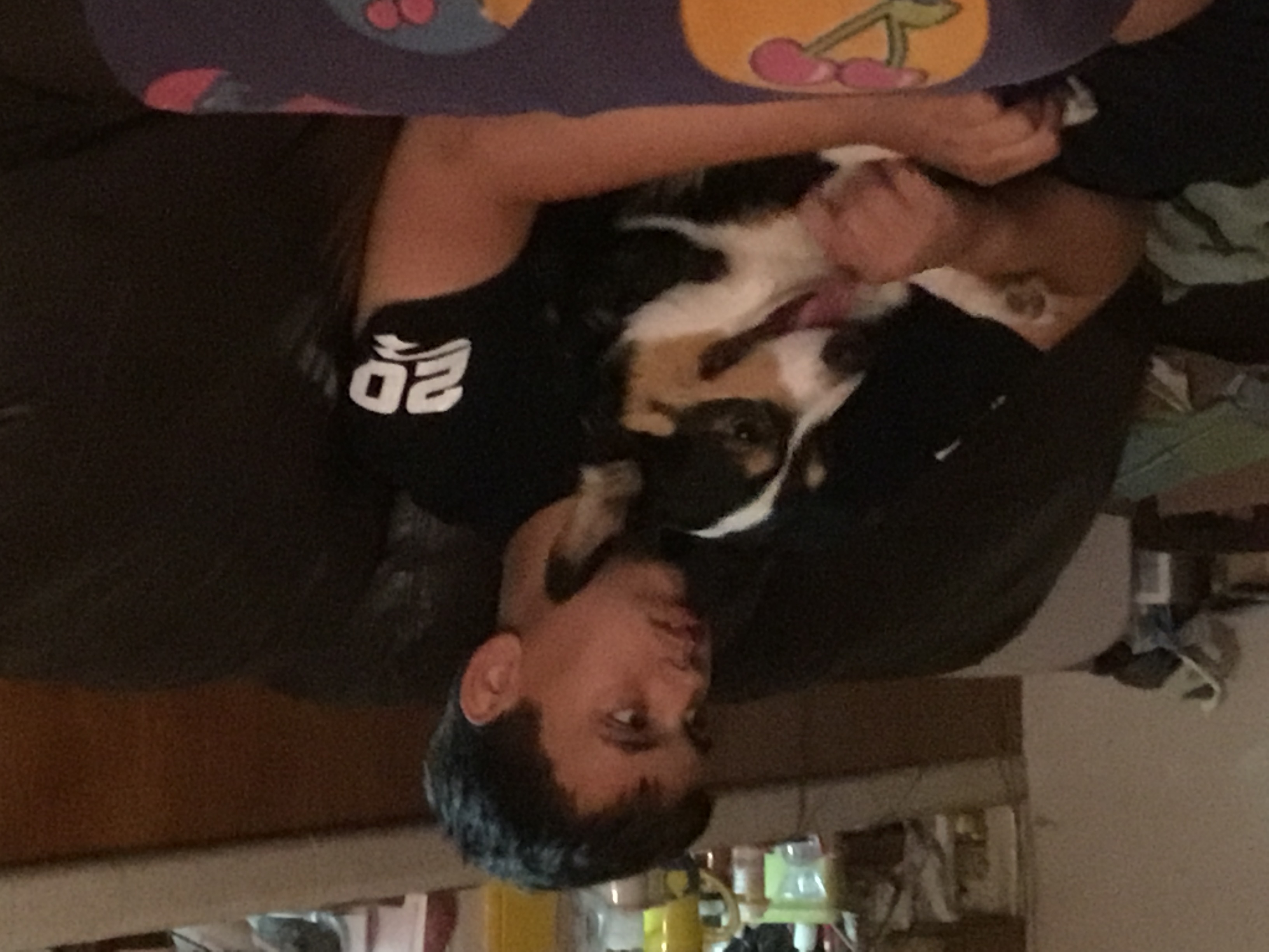 /lostandfound/images/lnfpets/original/157163_photo.jpeg