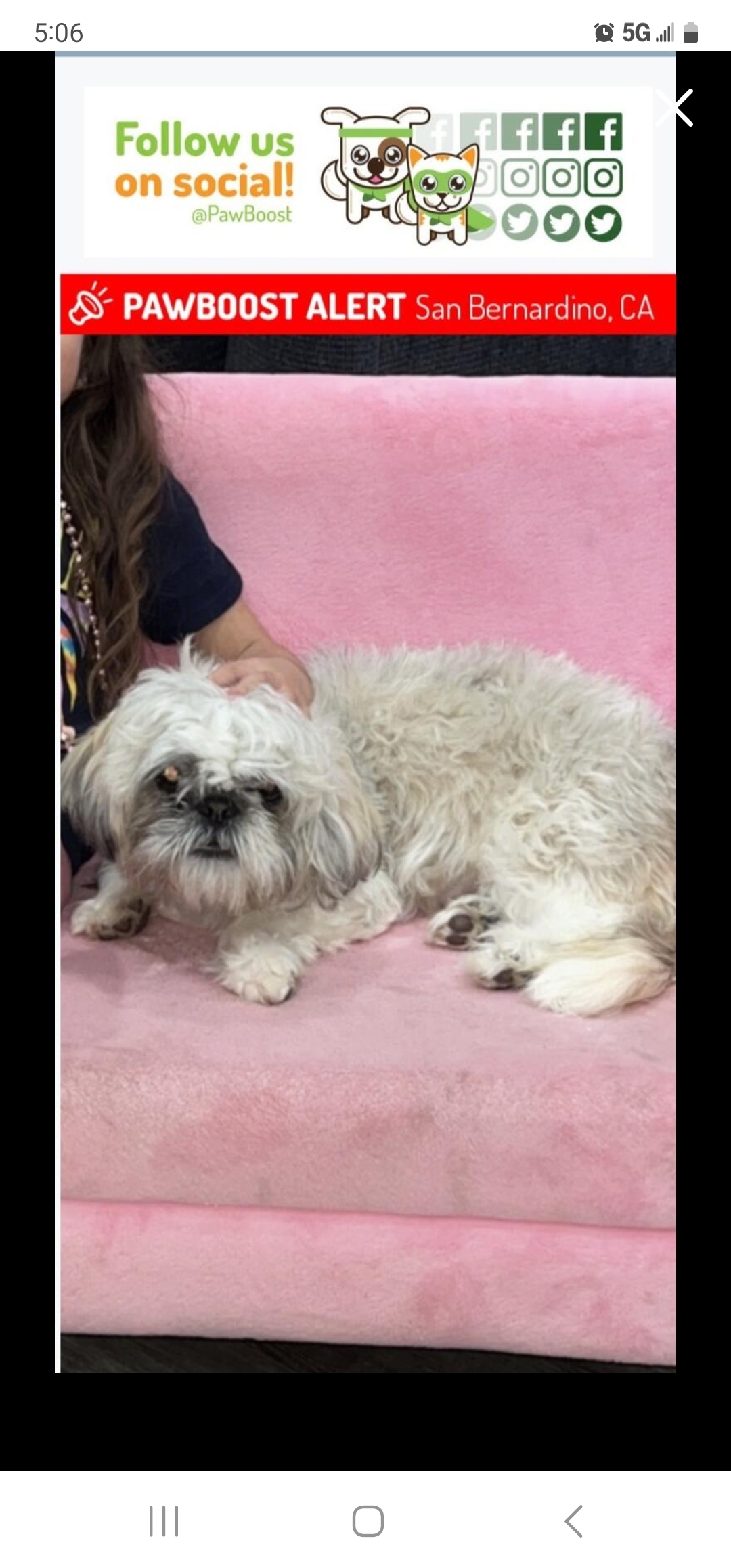 /lostandfound/images/lnfpets/original/157192_photo.jpg