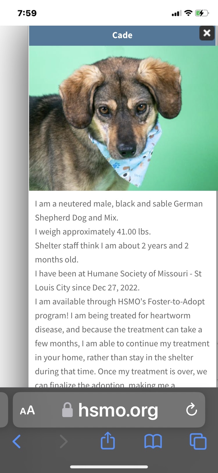 /lostandfound/images/lnfpets/original/157204_photo.jpeg