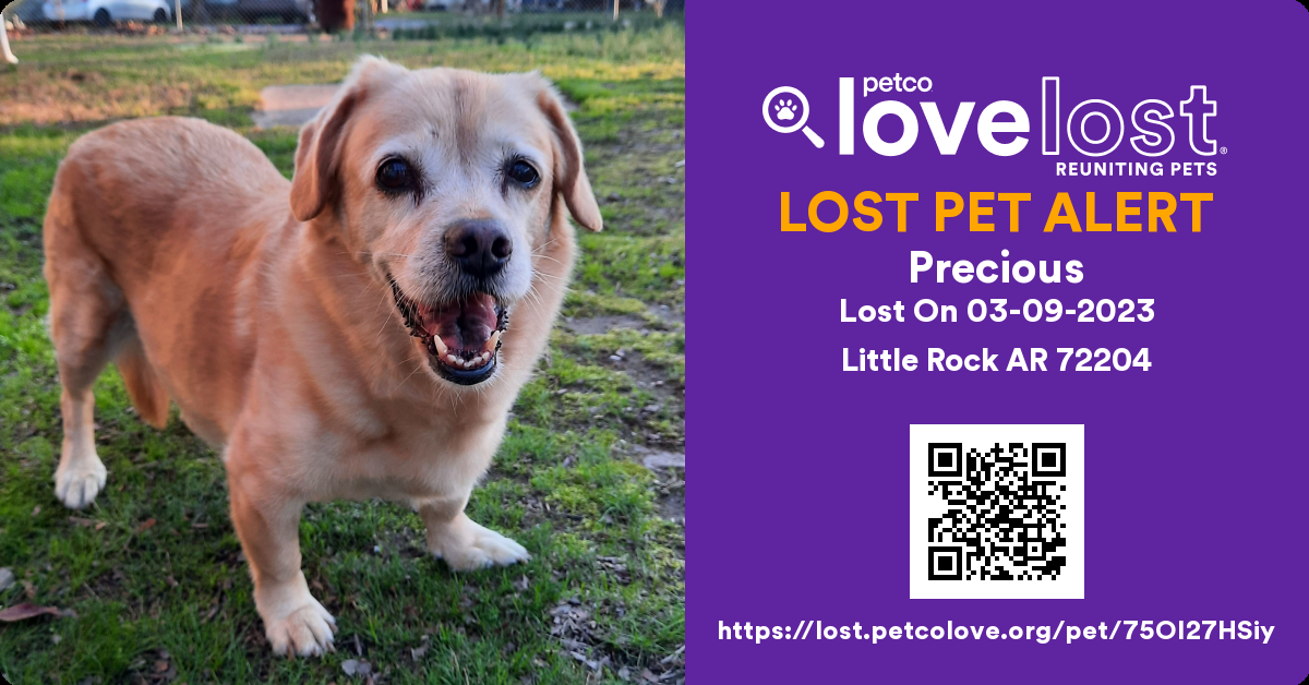 /lostandfound/images/lnfpets/original/157312_photo.png