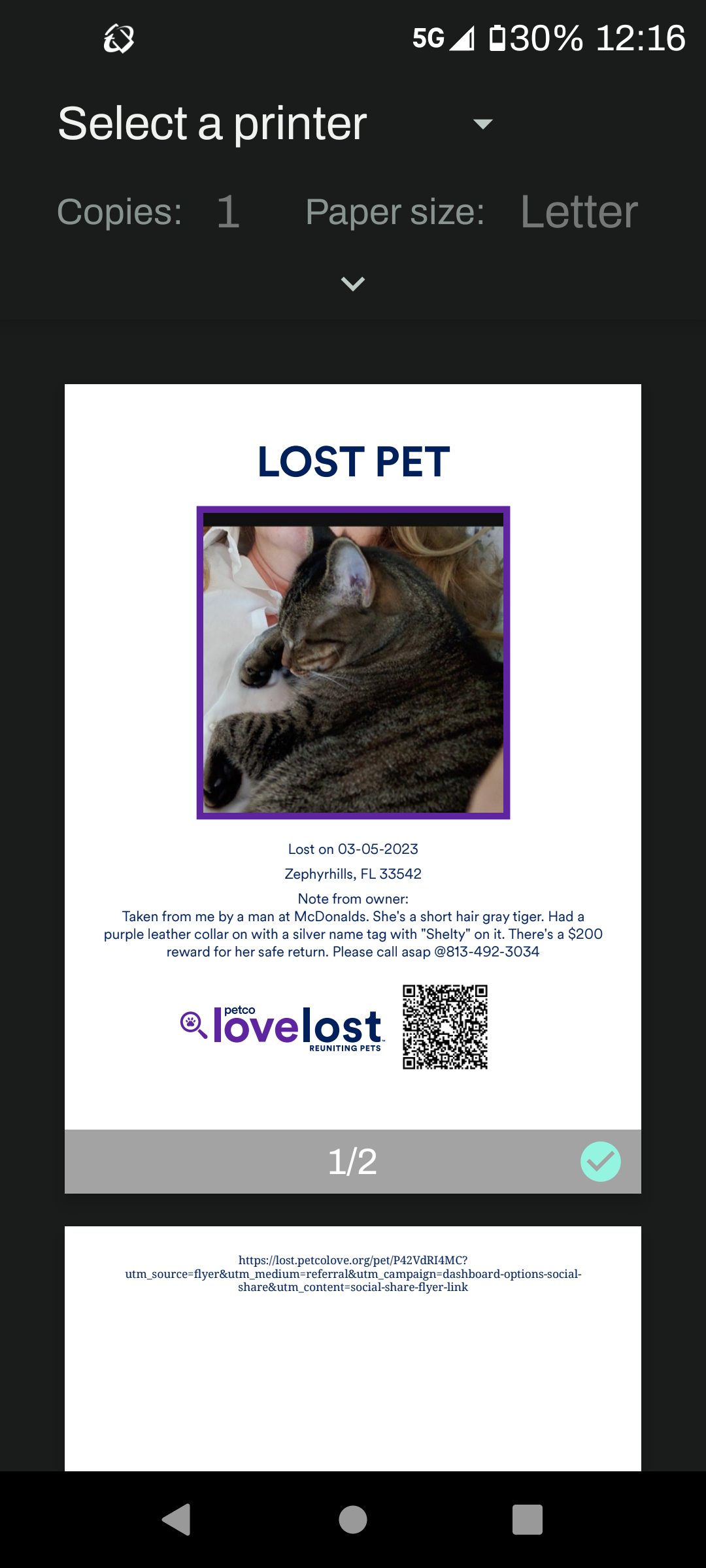 /lostandfound/images/lnfpets/original/157317_photo.png