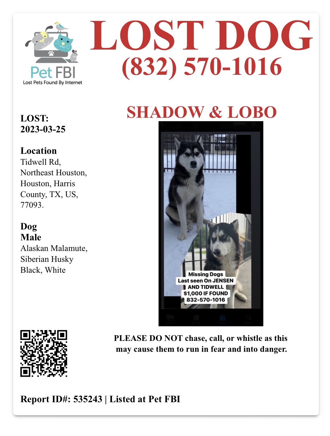/lostandfound/images/lnfpets/original/157629_photo.jpeg