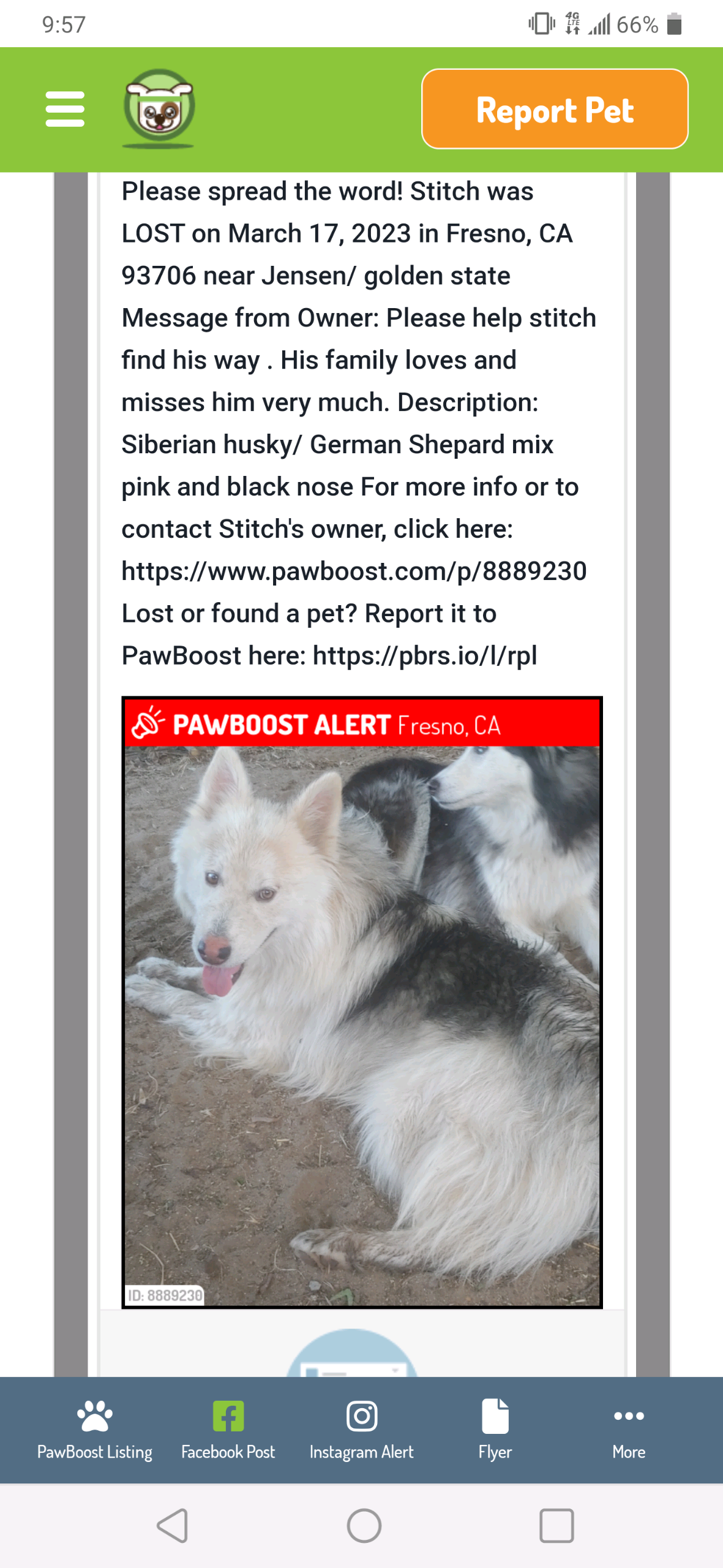 /lostandfound/images/lnfpets/original/157648_photo.png