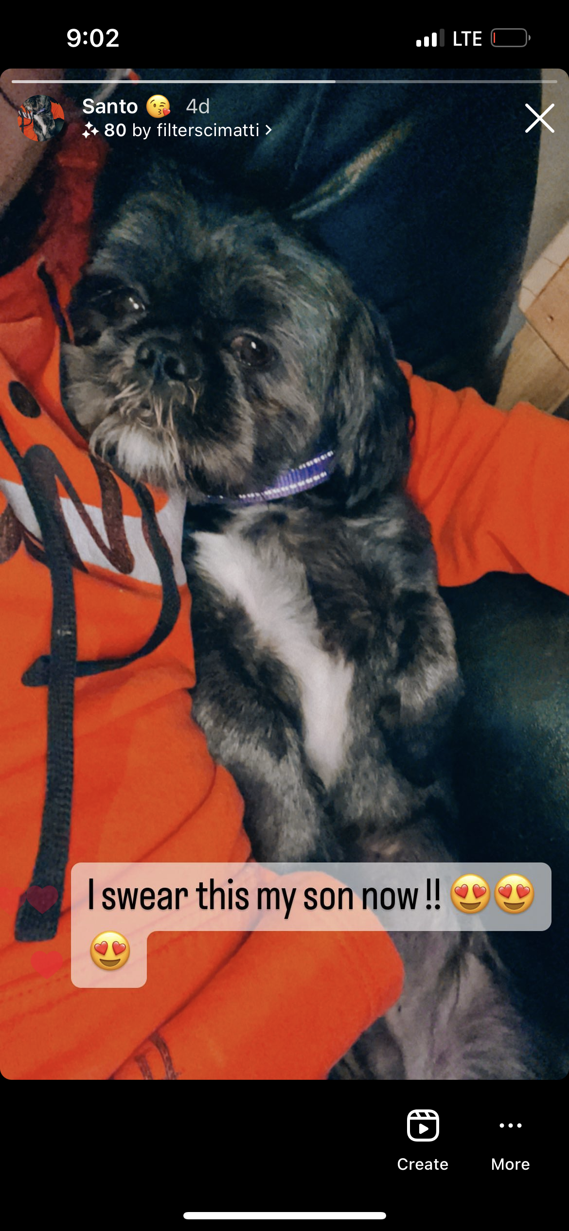 /lostandfound/images/lnfpets/original/157720_photo.png