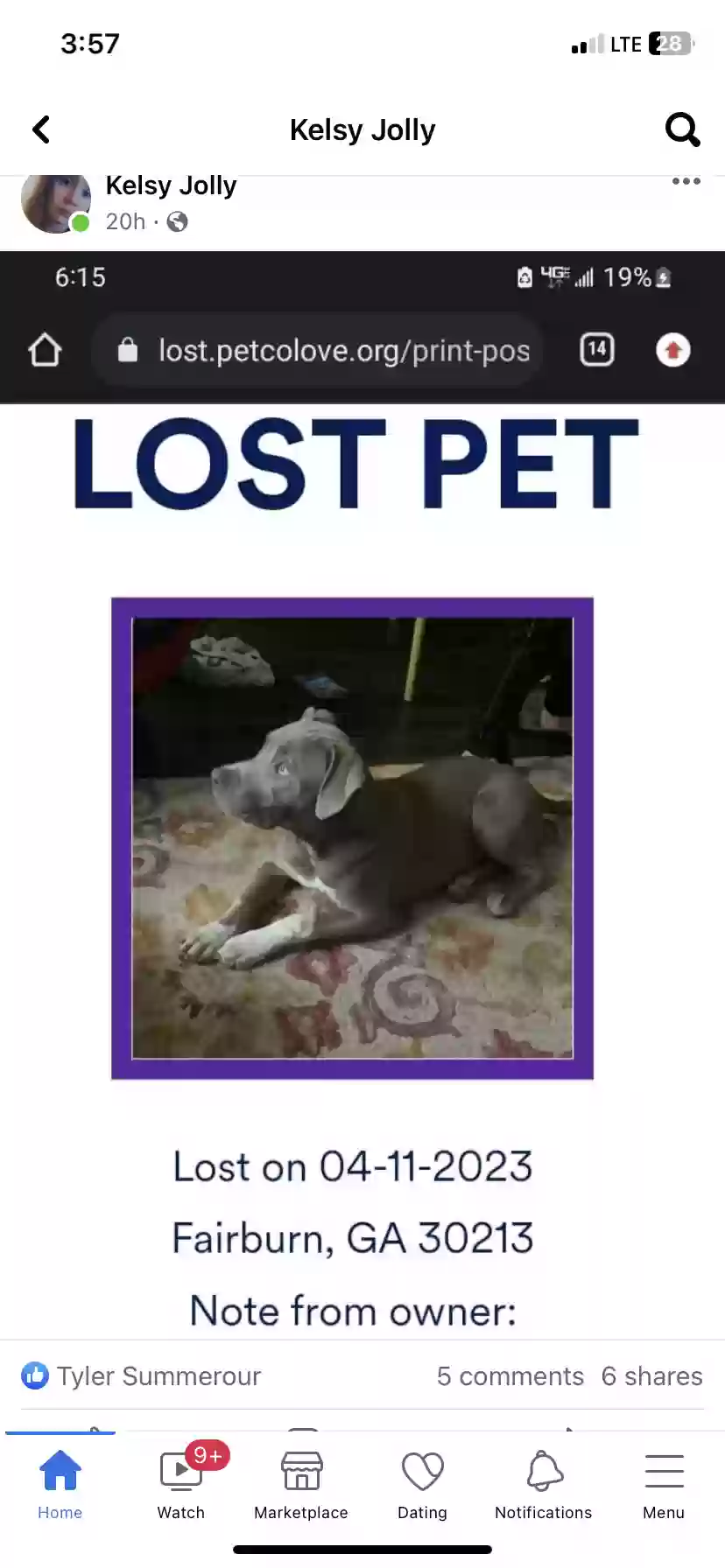 /lostandfound/images/lnfpets/original/158829_photo.webp