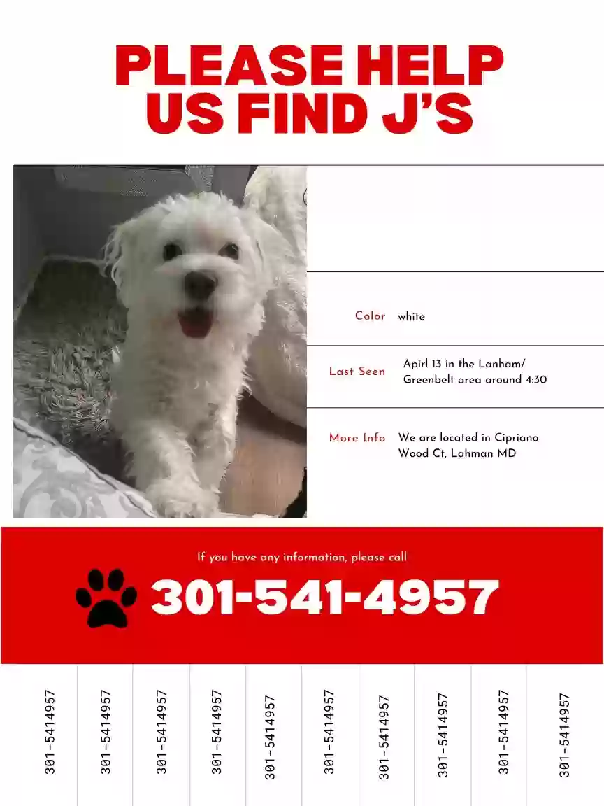 /lostandfound/images/lnfpets/original/158951_photo.webp