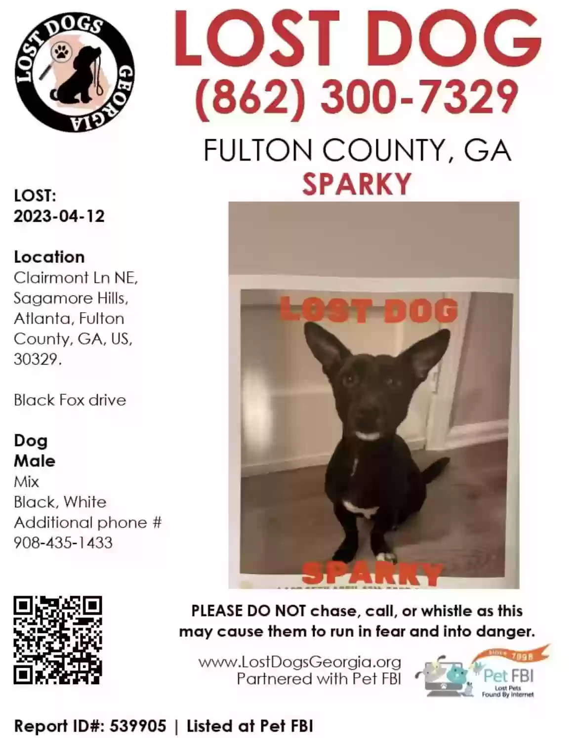 /lostandfound/images/lnfpets/original/159100_photo.webp