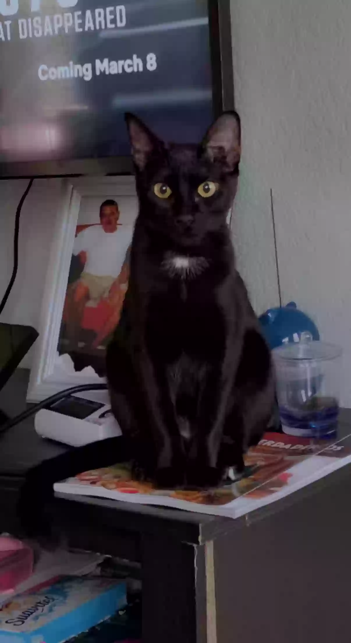 /lostandfound/images/lnfpets/original/159654_photo.webp
