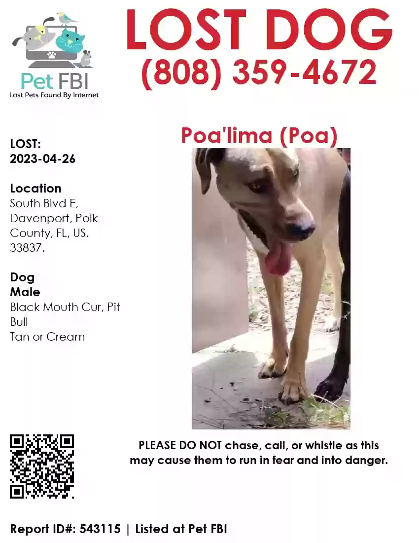 /lostandfound/images/lnfpets/original/159838_photo.webp
