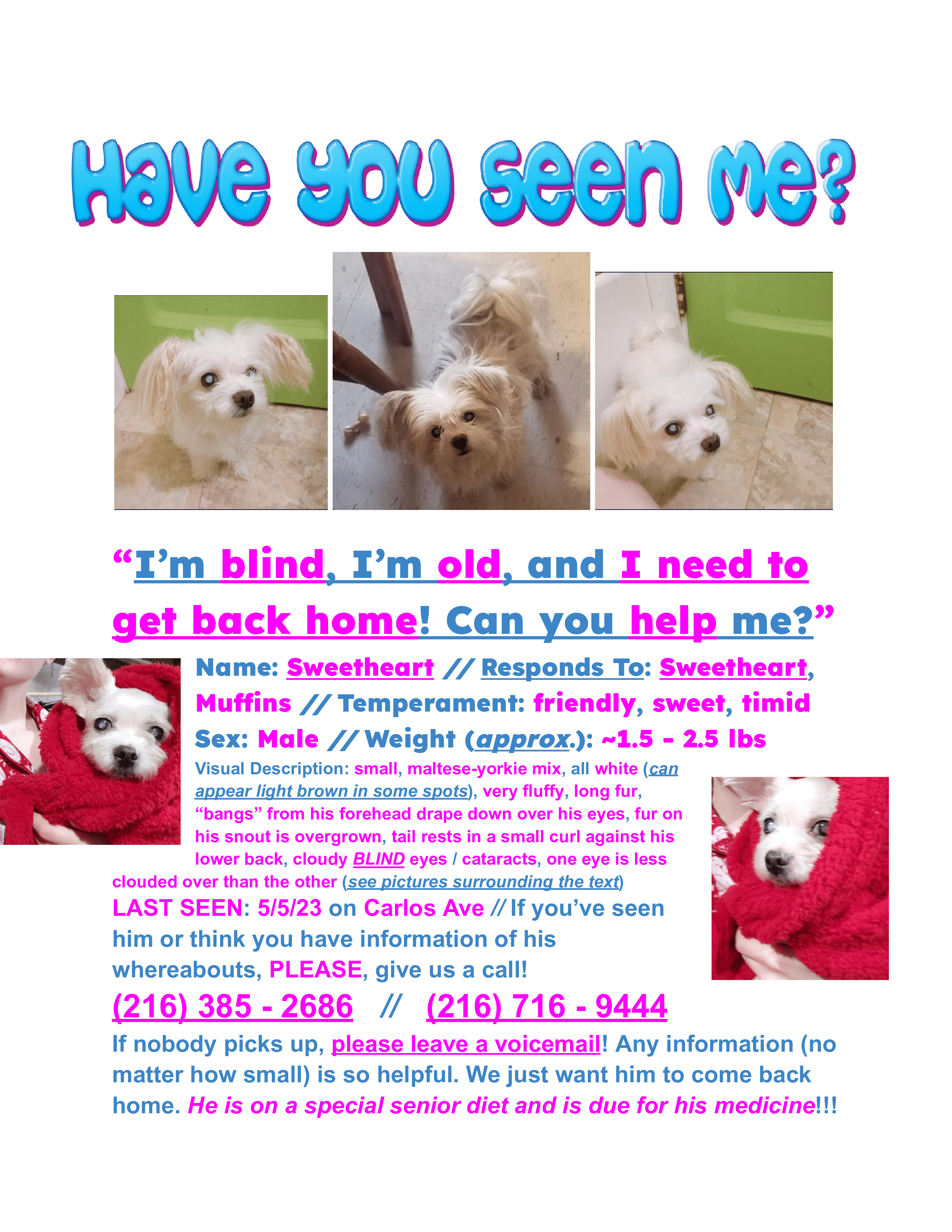 /lostandfound/images/lnfpets/original/160407_photo.png