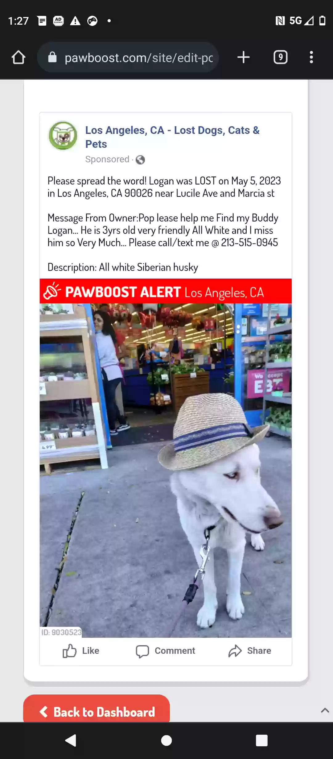 /lostandfound/images/lnfpets/original/160429_photo.webp