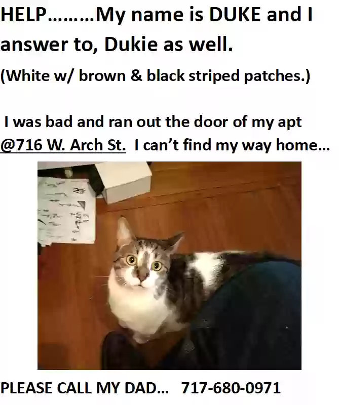/lostandfound/images/lnfpets/original/160529_photo.webp