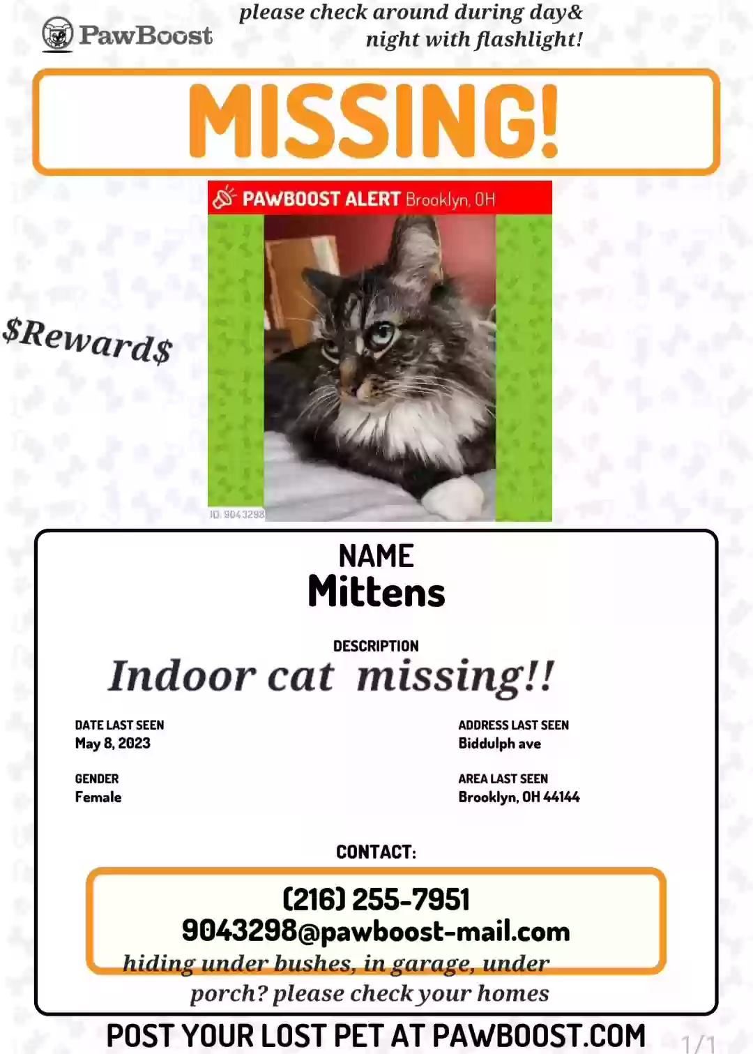 /lostandfound/images/lnfpets/original/160610_photo.webp