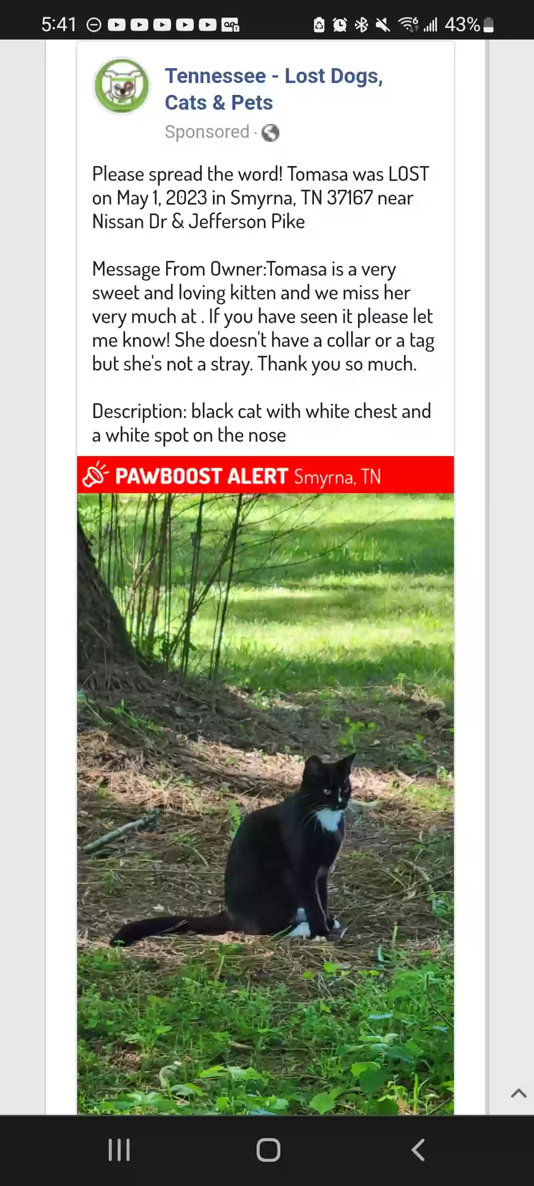 /lostandfound/images/lnfpets/original/160938_9761_Screenshot_20230511-174129_Chrome.webp