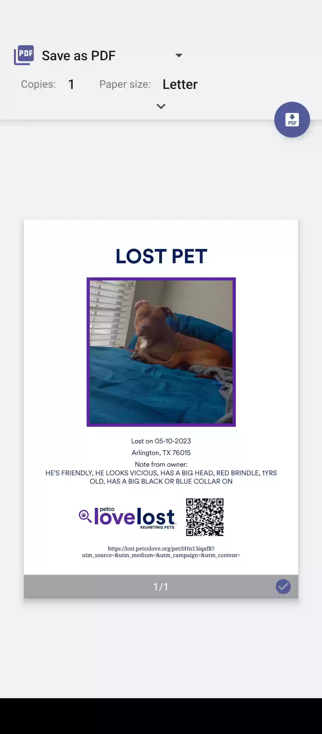 /lostandfound/images/lnfpets/original/161006_photo.webp