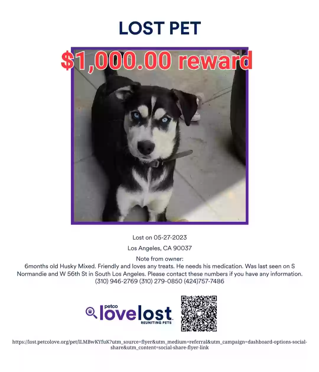 /lostandfound/images/lnfpets/original/162109_photo.webp