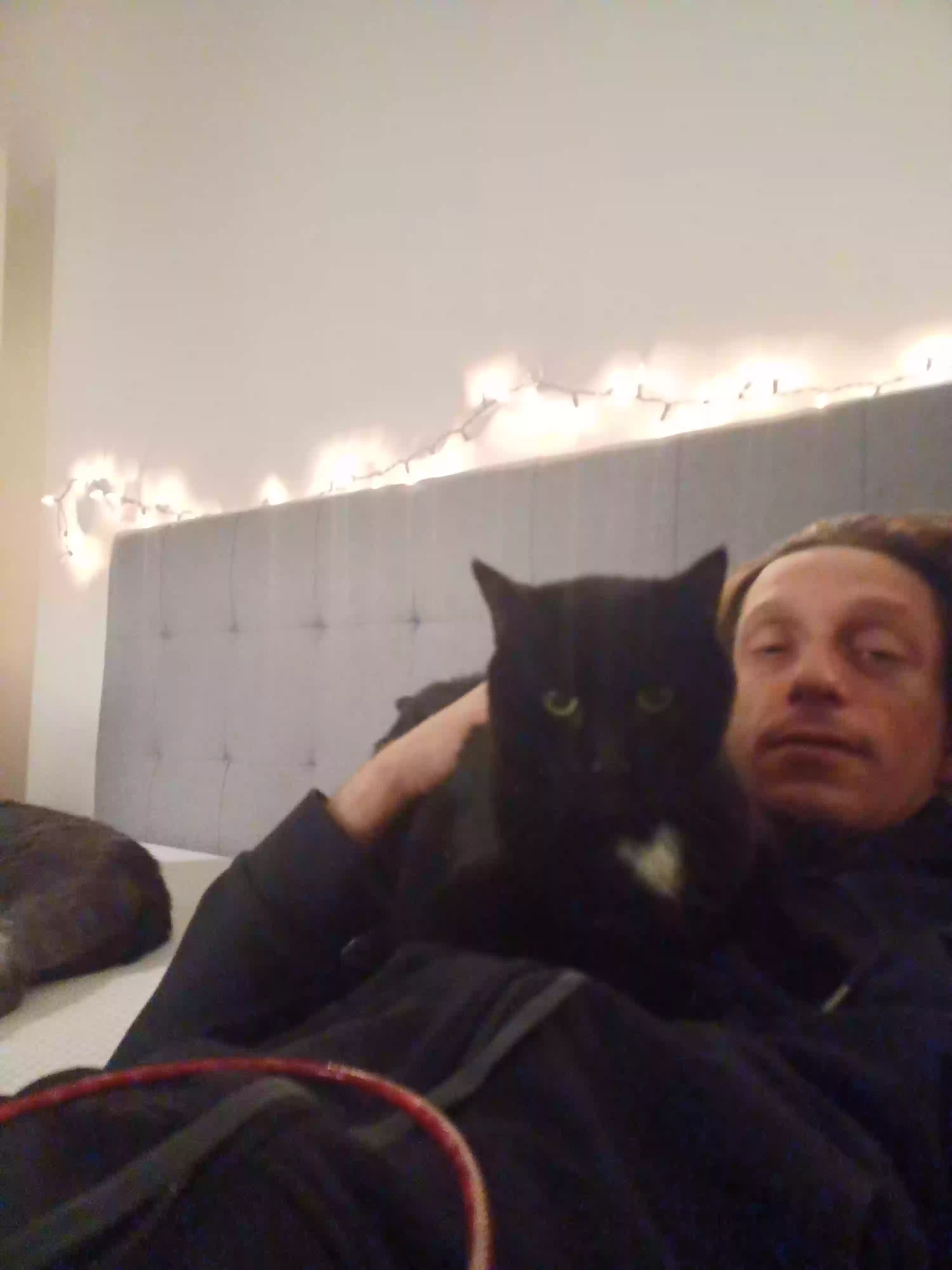 /lostandfound/images/lnfpets/original/162763_photo.webp