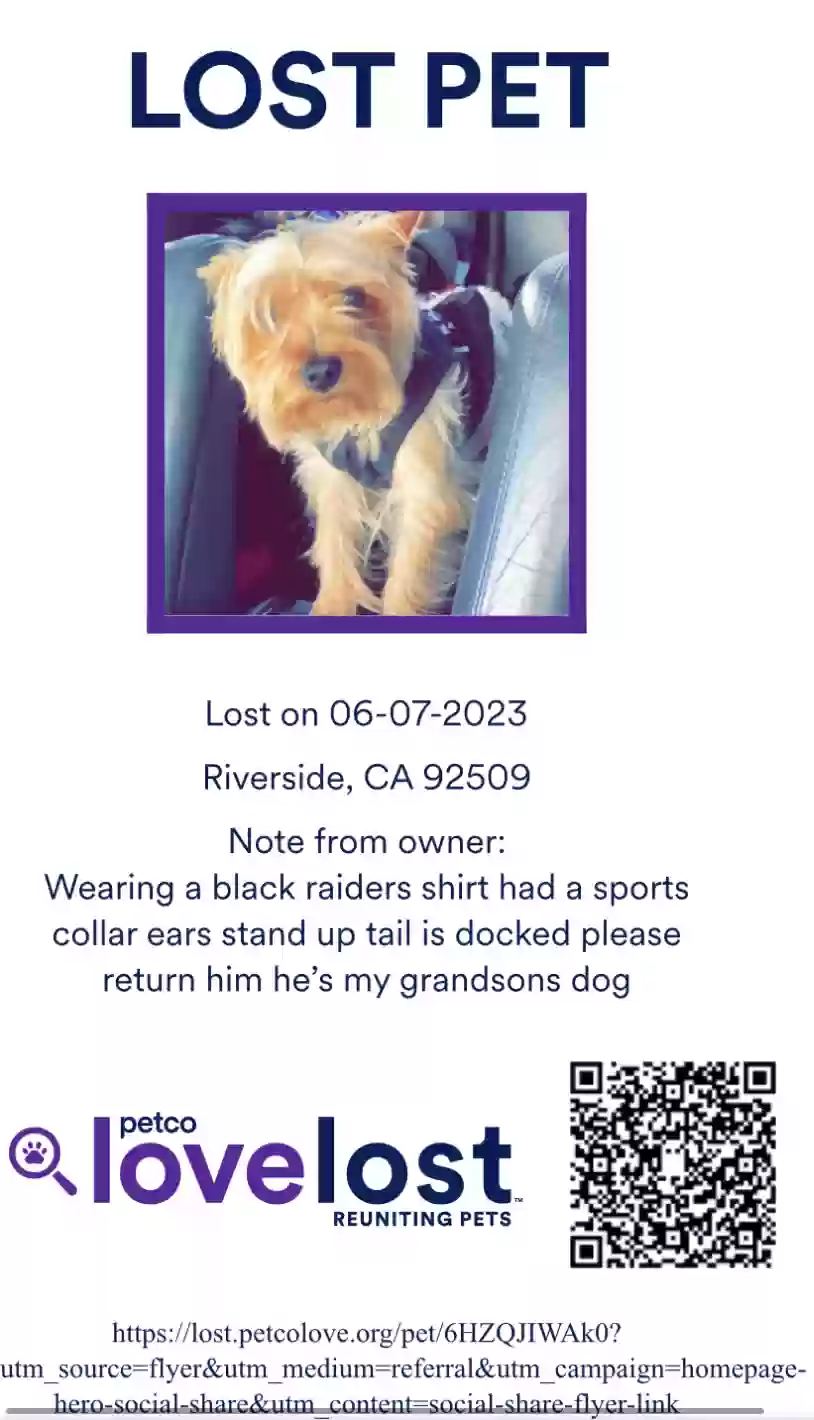 /lostandfound/images/lnfpets/original/162827_1778_IMG_7081.webp
