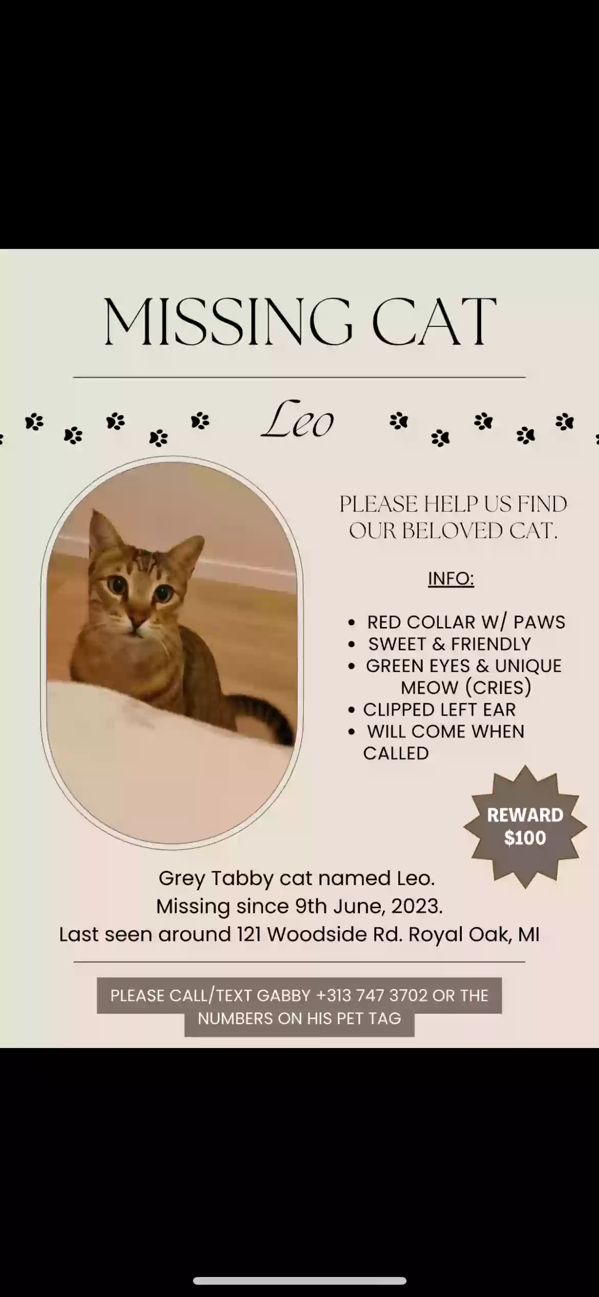 /lostandfound/images/lnfpets/original/162876_photo.webp