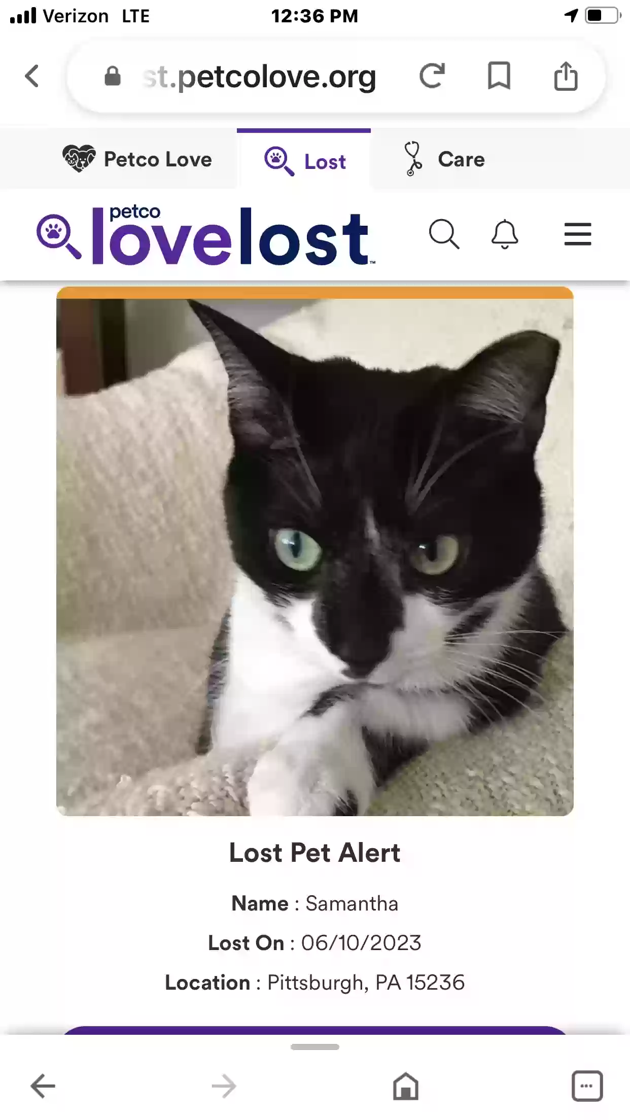 /lostandfound/images/lnfpets/original/163044_photo.webp