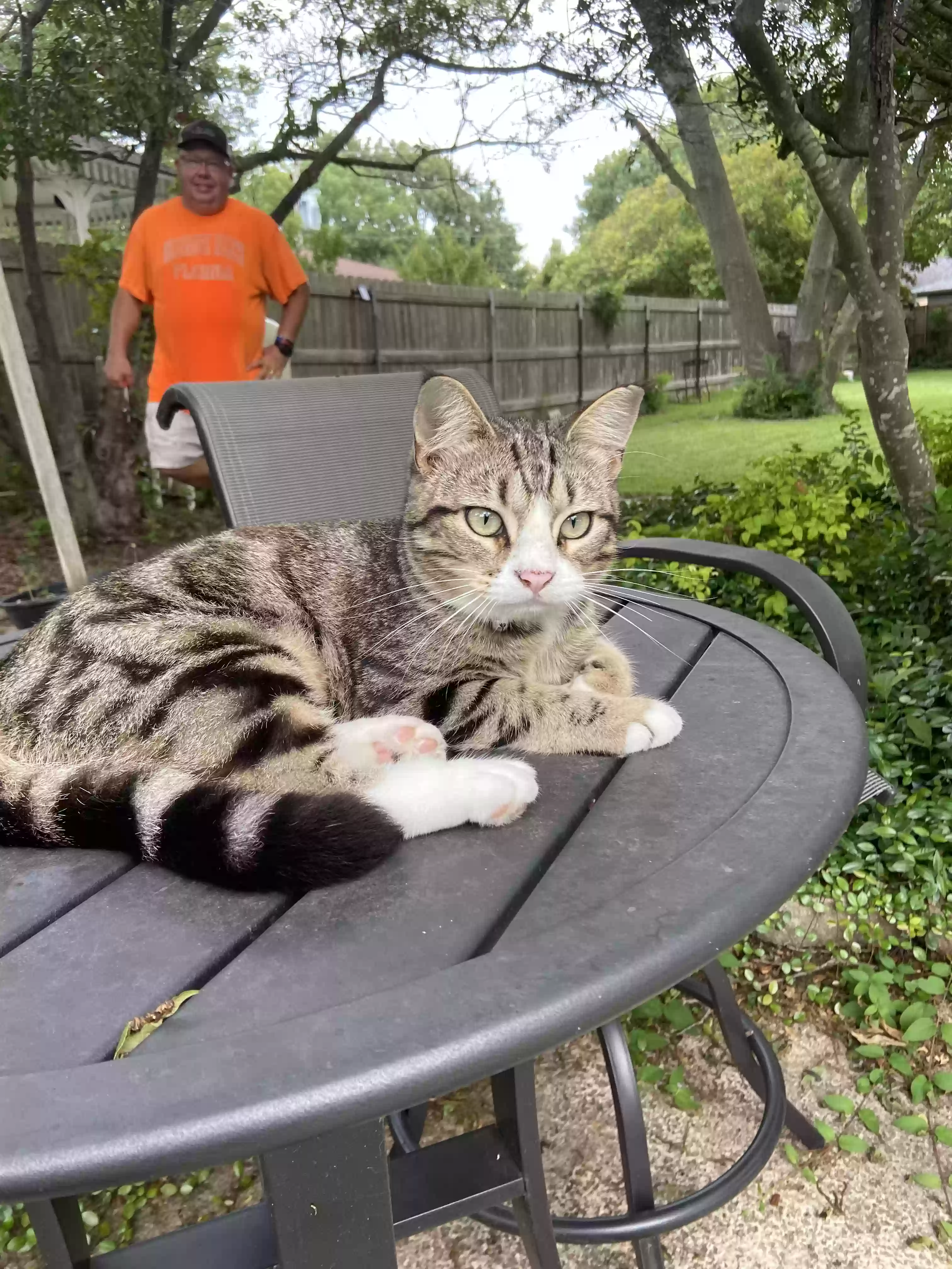 /lostandfound/images/lnfpets/original/163168_photo.webp