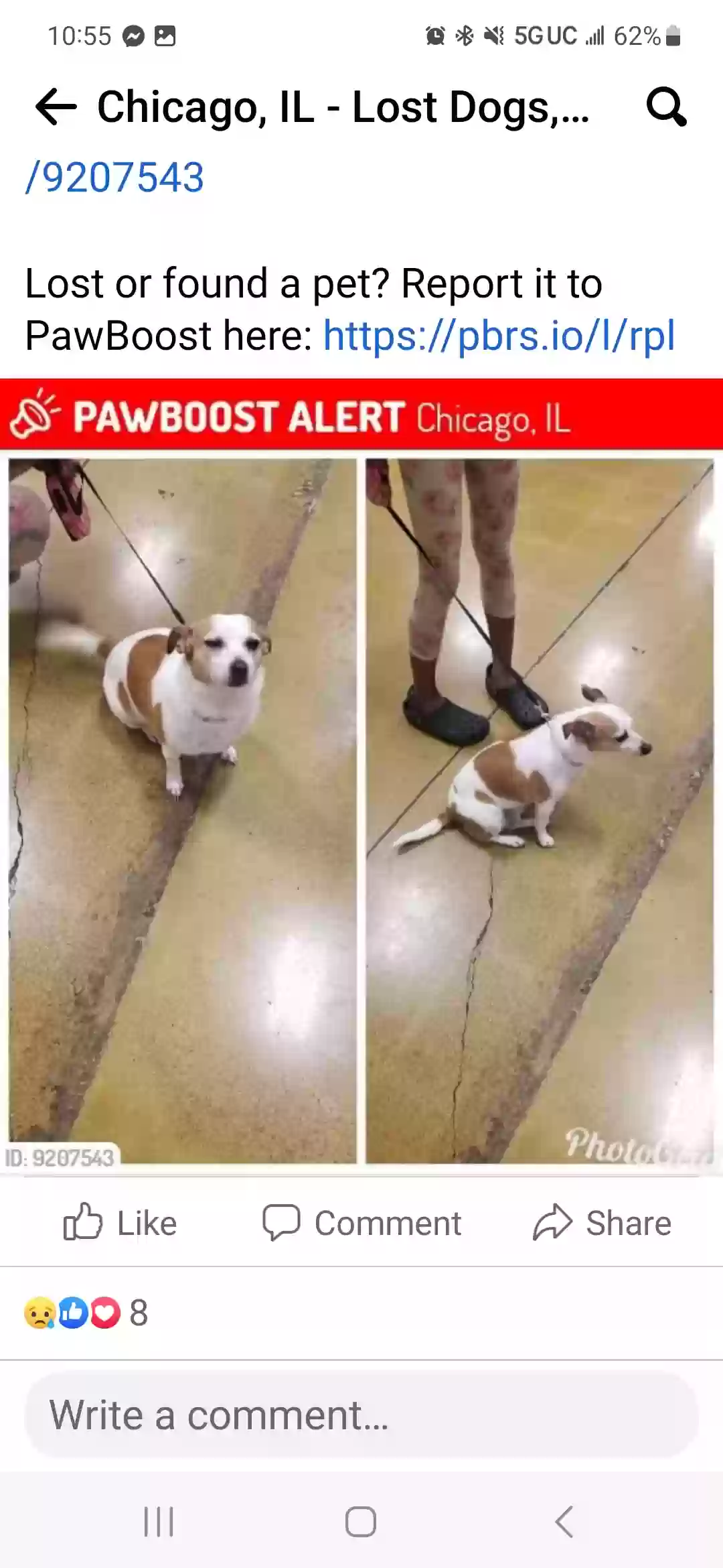 /lostandfound/images/lnfpets/original/163314_2593_Screenshot_20230620_225517_Facebook.webp