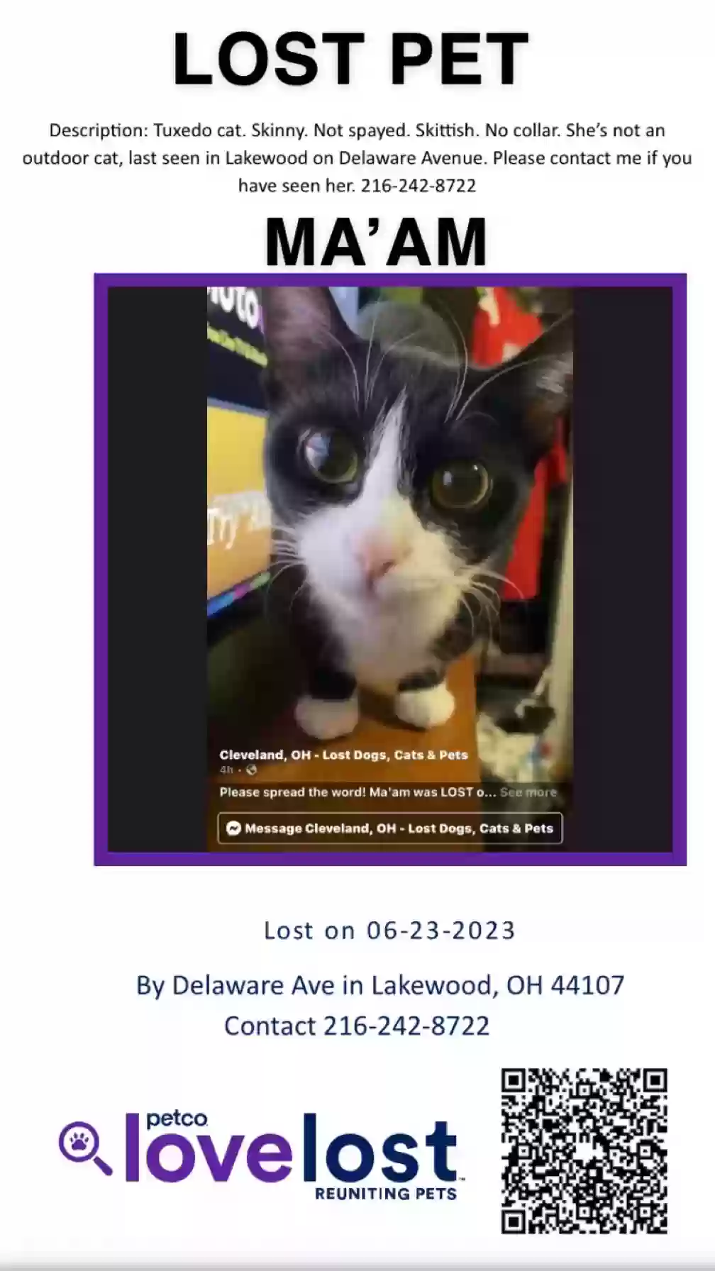 /lostandfound/images/lnfpets/original/163516_photo.webp