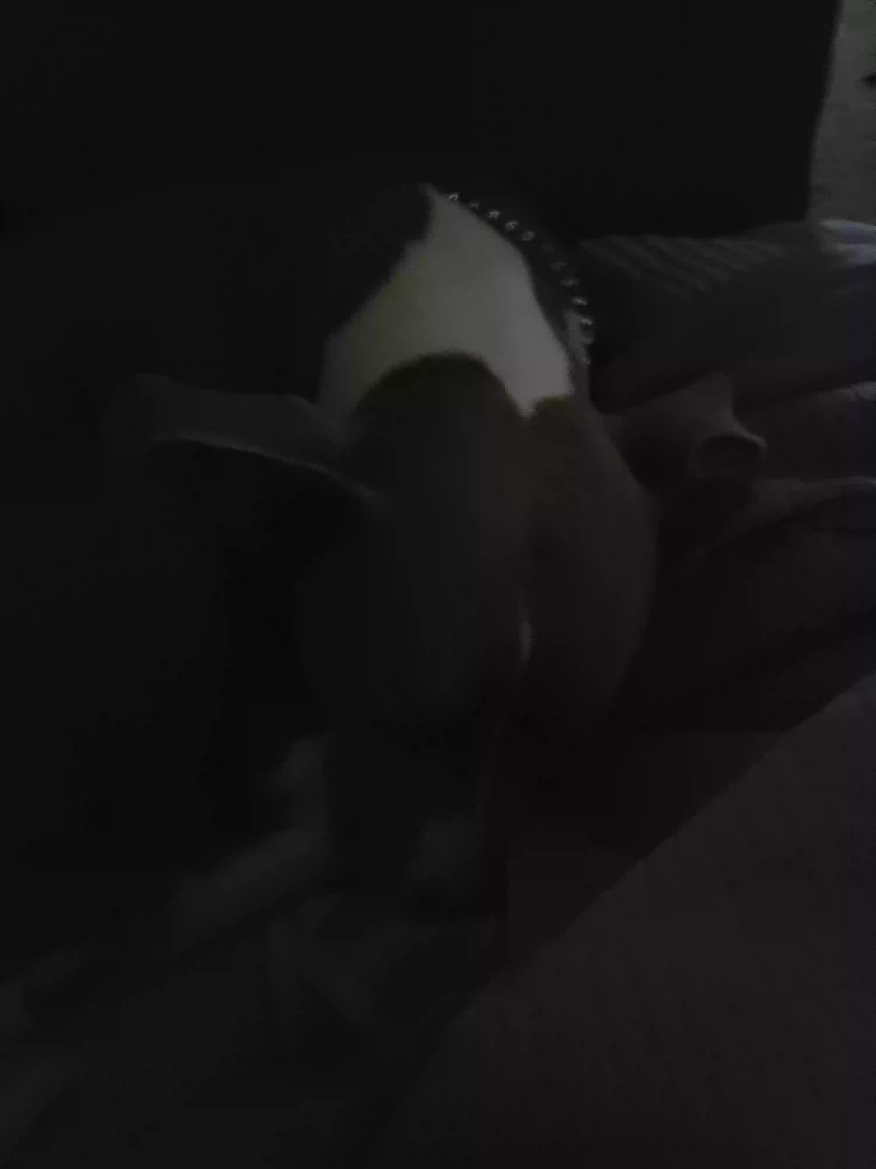 /lostandfound/images/lnfpets/original/165180_photo.webp