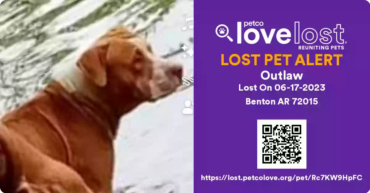 /lostandfound/images/lnfpets/original/167422_photo.webp