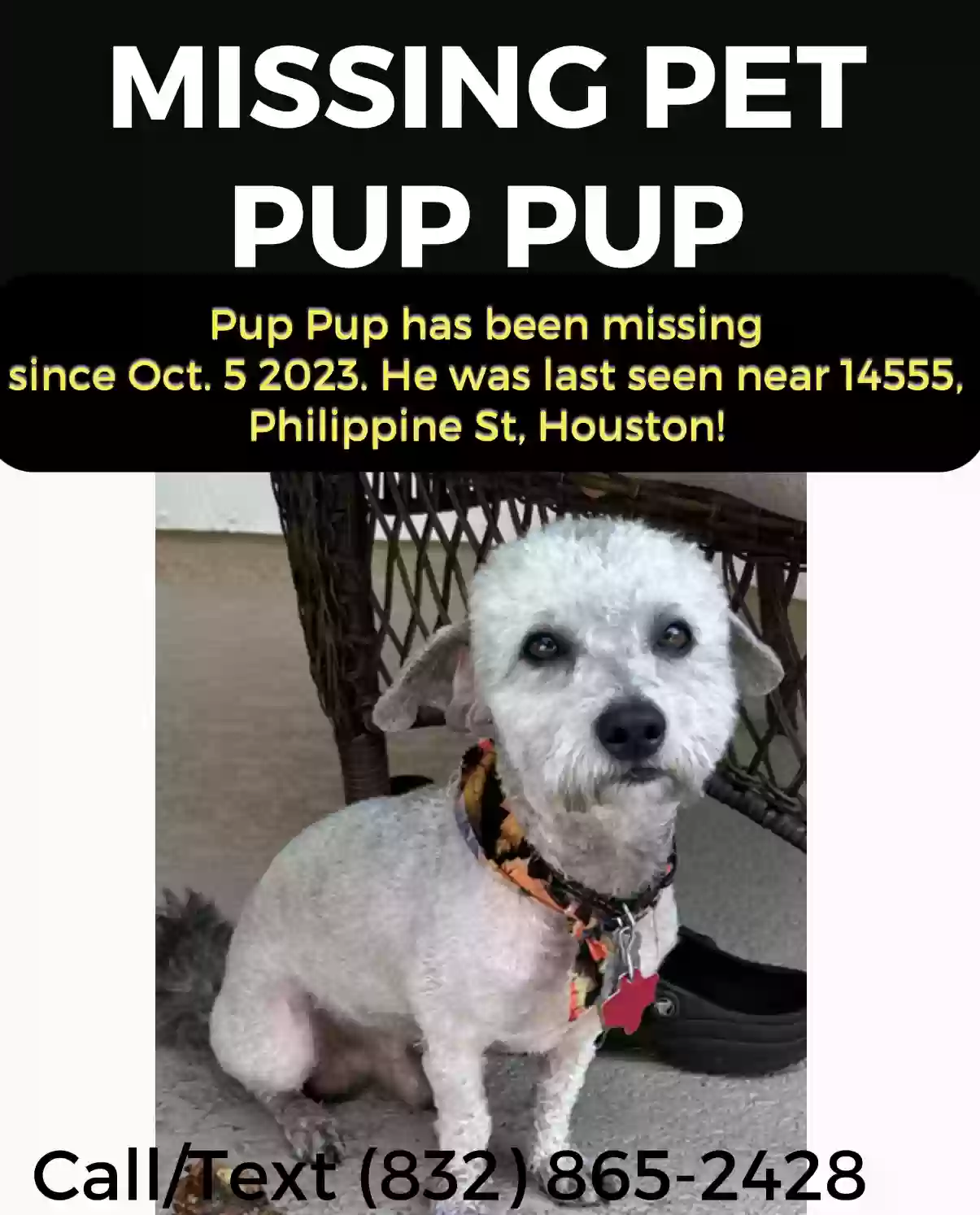 /lostandfound/images/lnfpets/original/167747_photo.webp