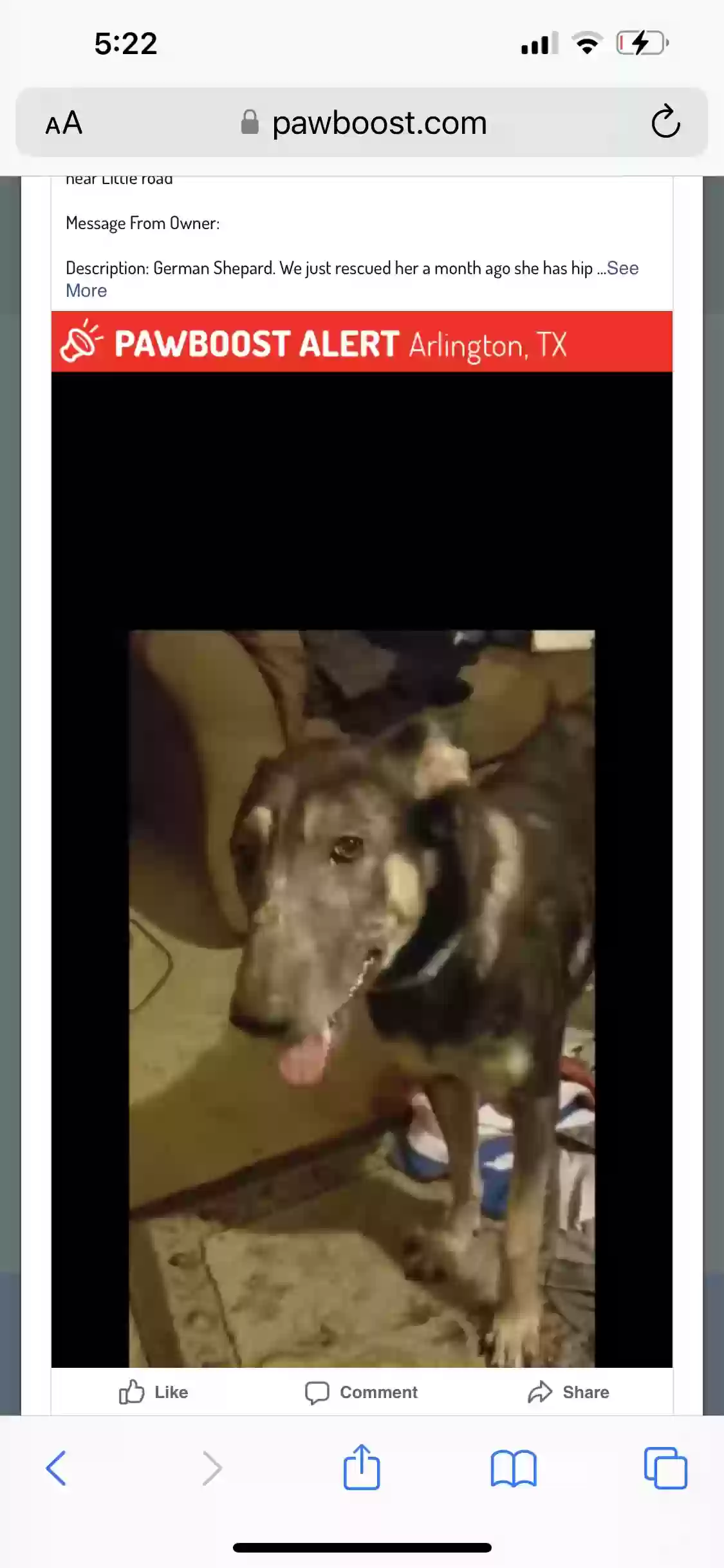/lostandfound/images/lnfpets/original/168566_photo.webp