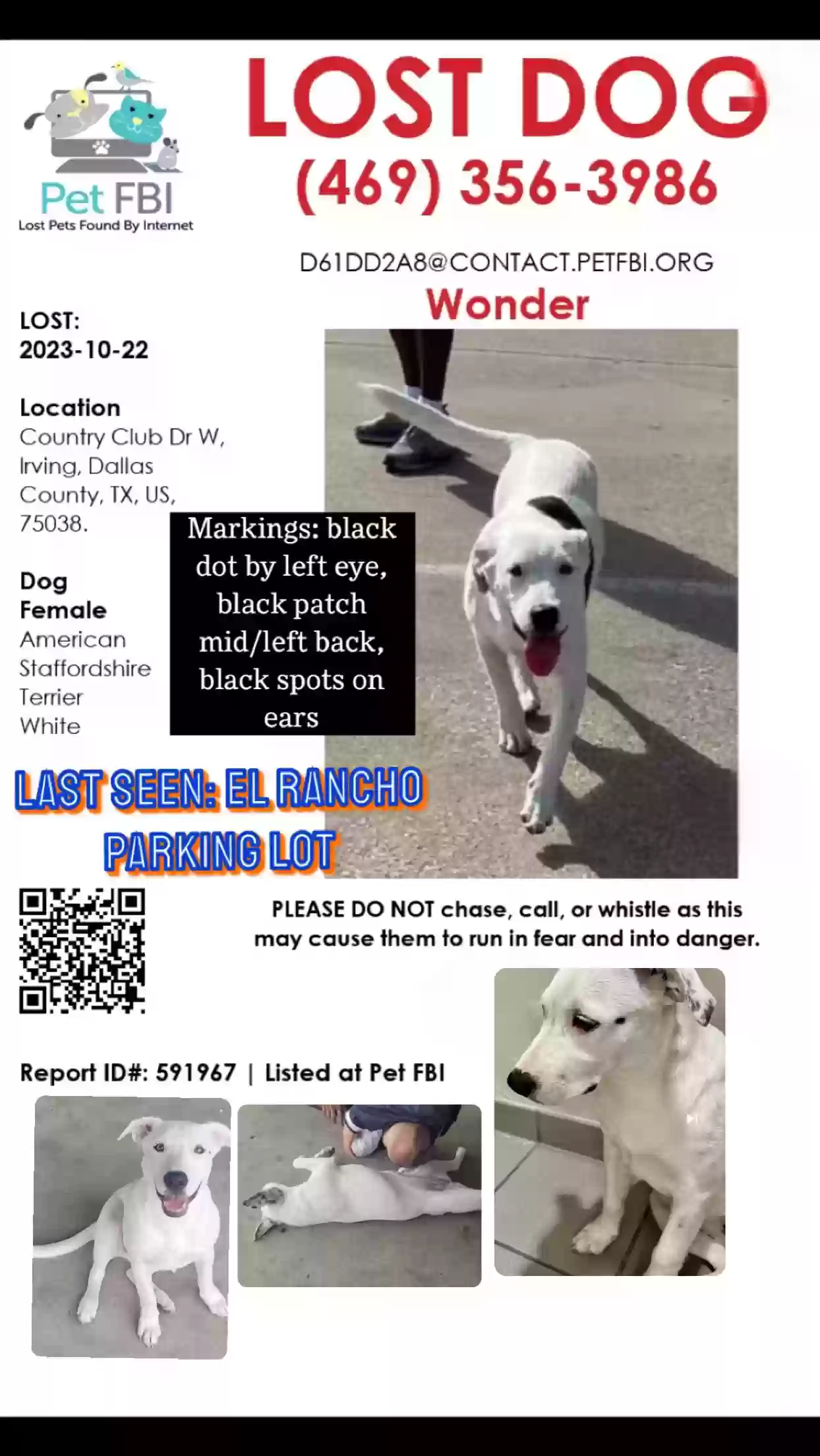 /lostandfound/images/lnfpets/original/168941_photo.webp