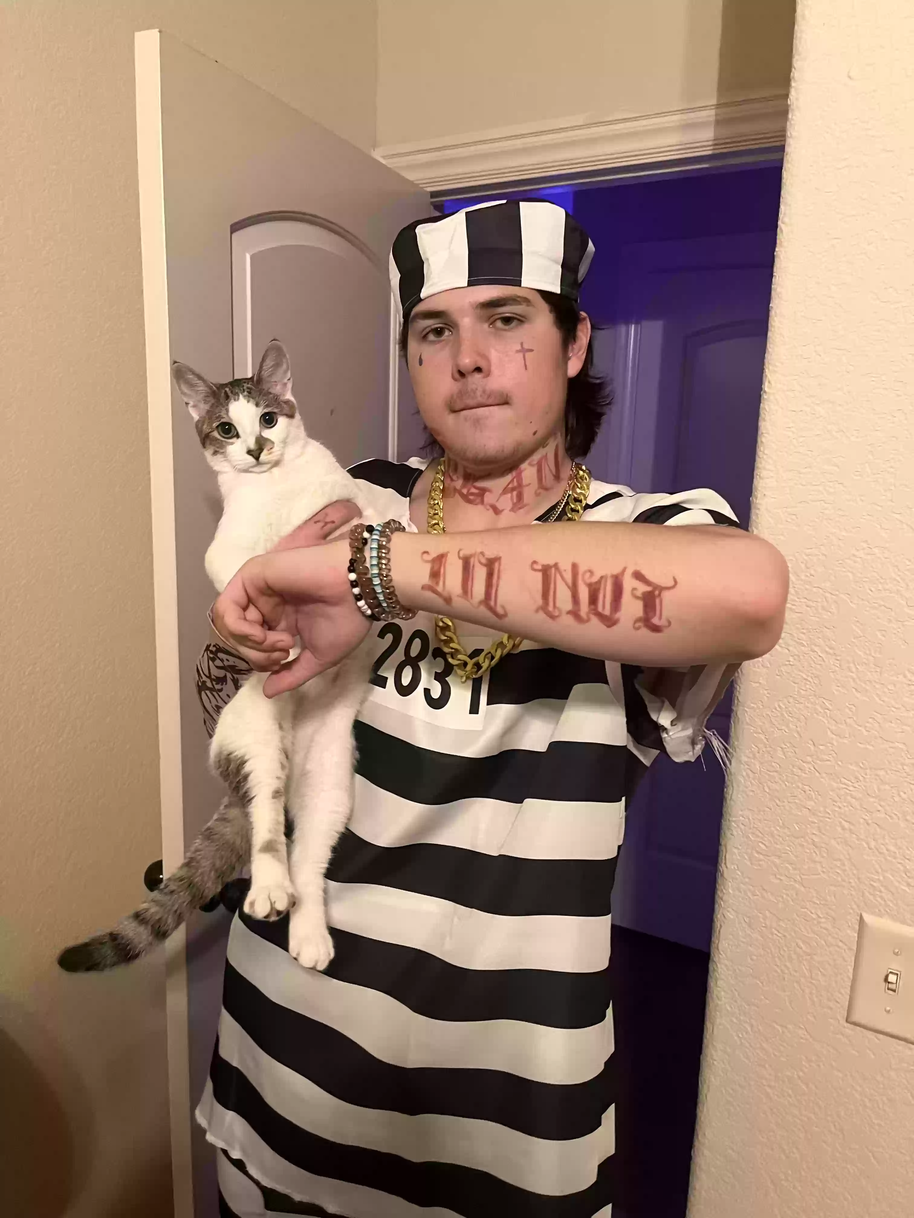 /lostandfound/images/lnfpets/original/169281_photo.webp