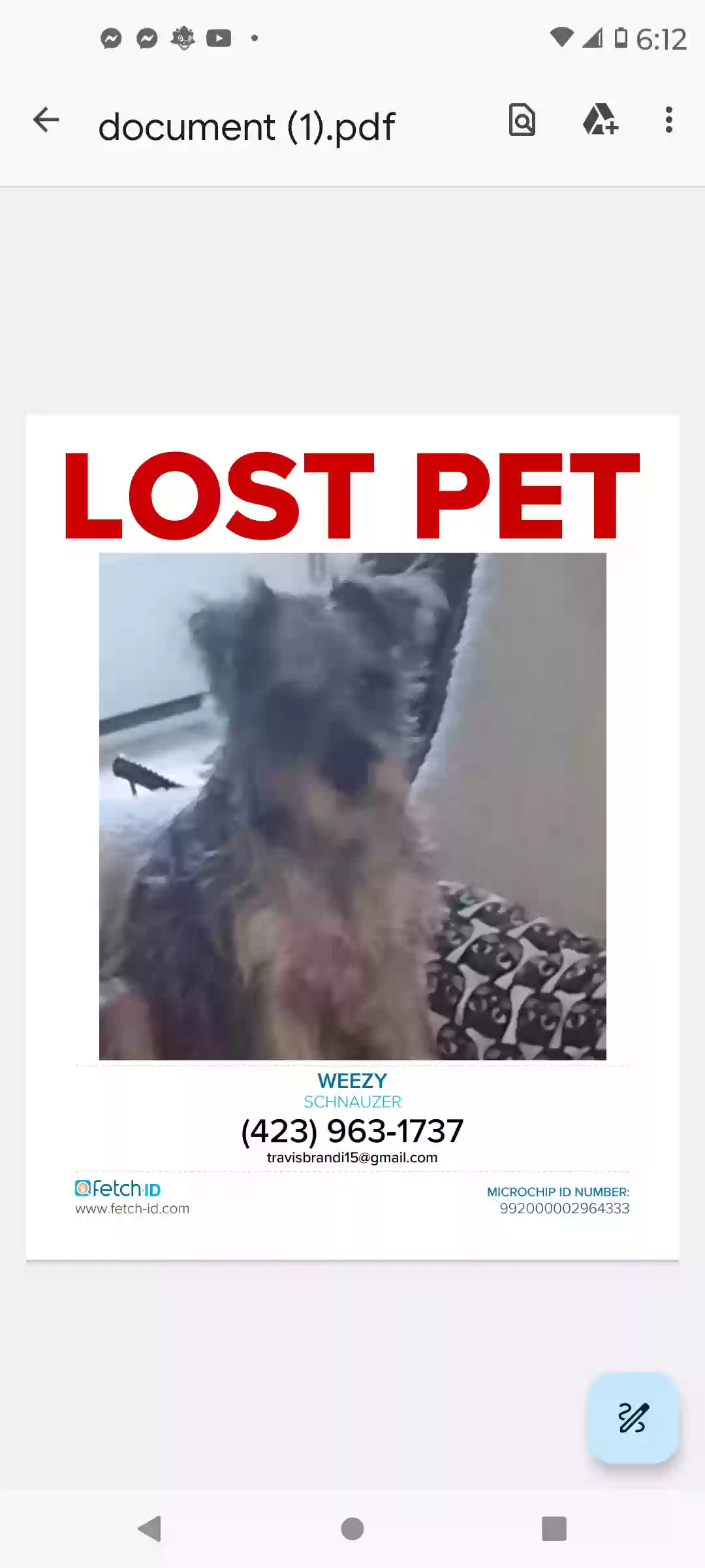 /lostandfound/images/lnfpets/original/171055_photo.webp