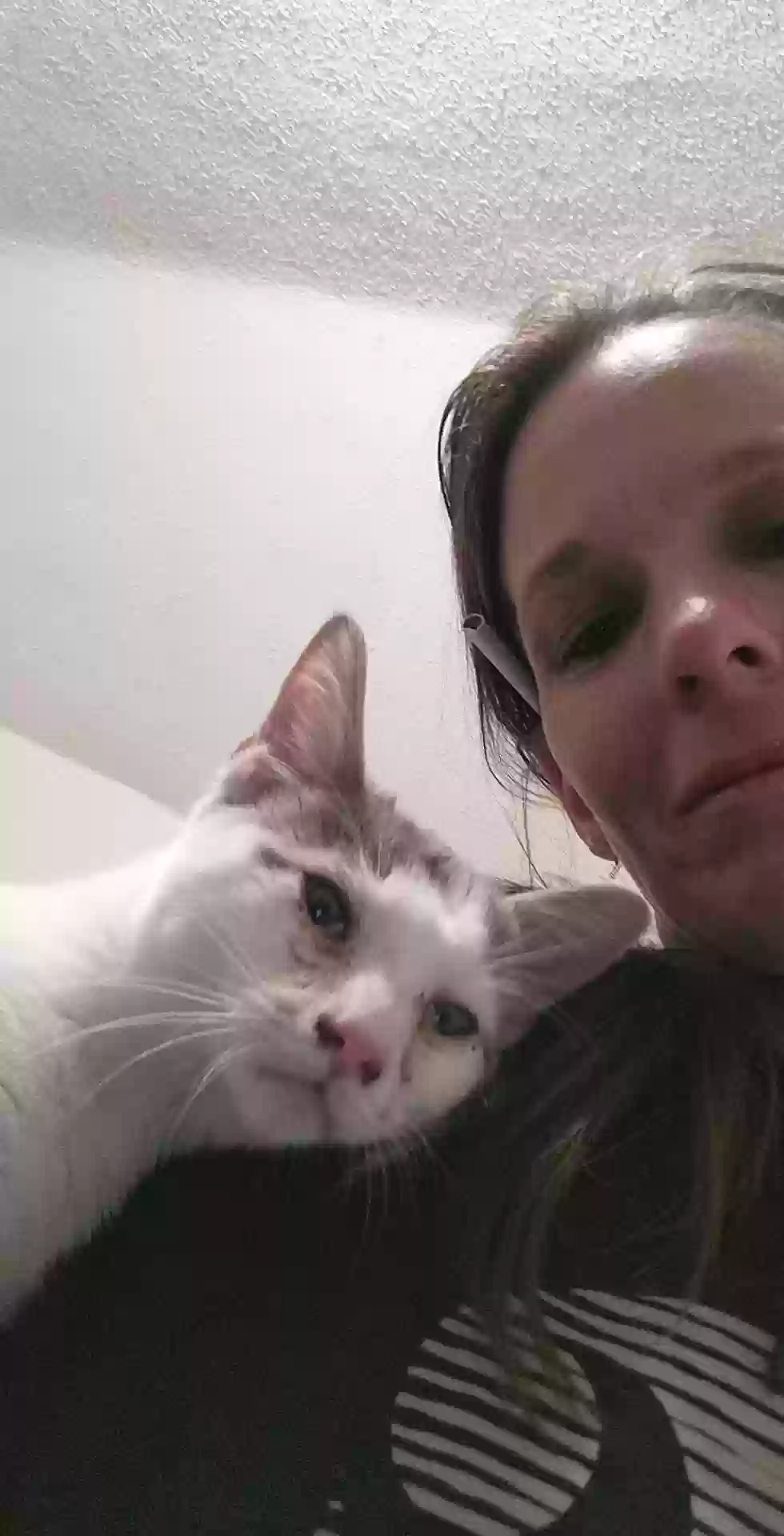 /lostandfound/images/lnfpets/original/171356_photo.webp