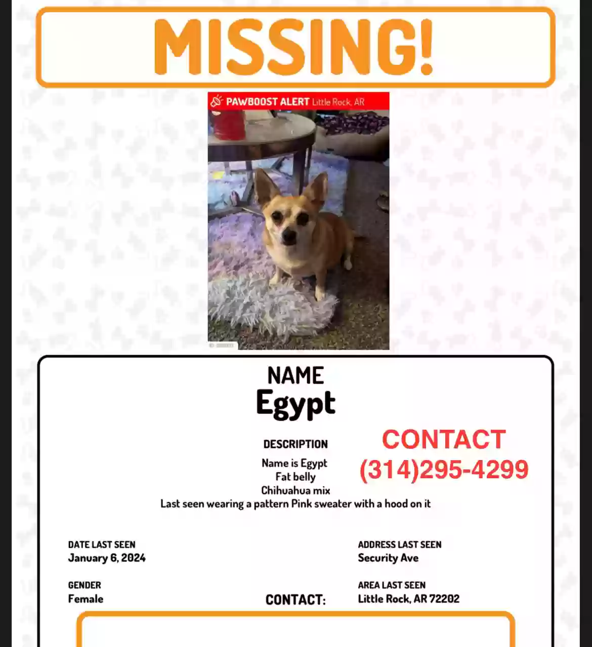 /lostandfound/images/lnfpets/original/171549_photo.webp