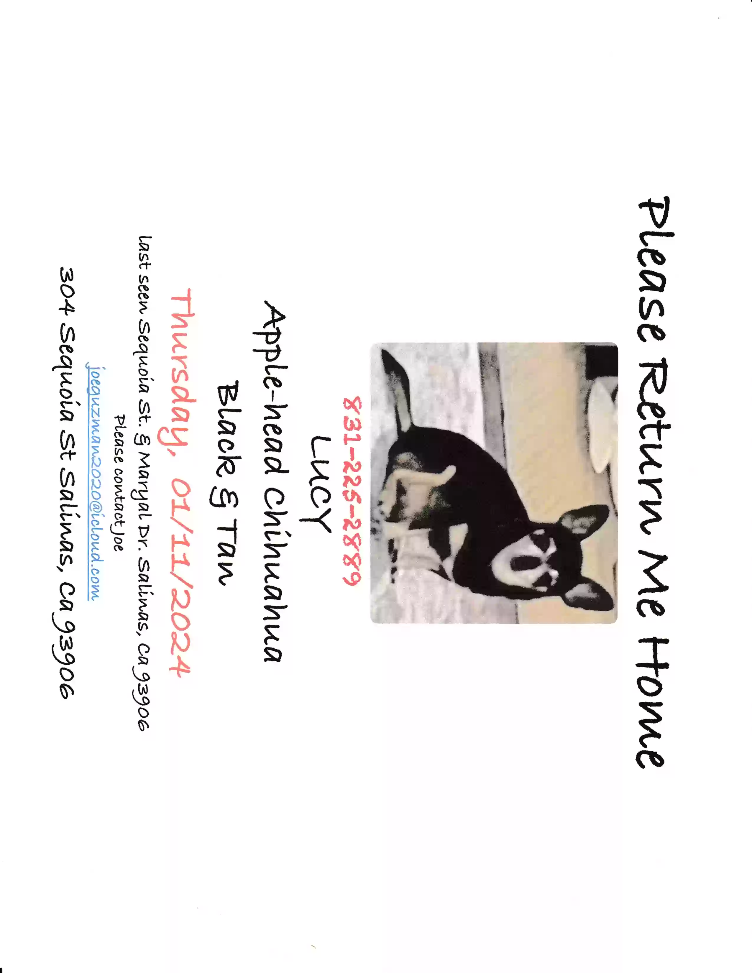 /lostandfound/images/lnfpets/original/171773_photo.webp
