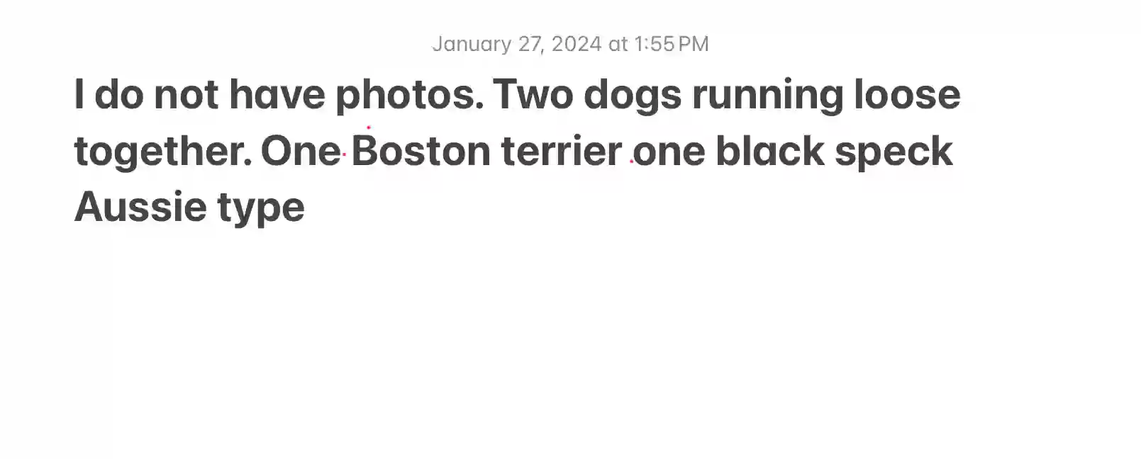 /lostandfound/images/lnfpets/original/172188_photo.webp